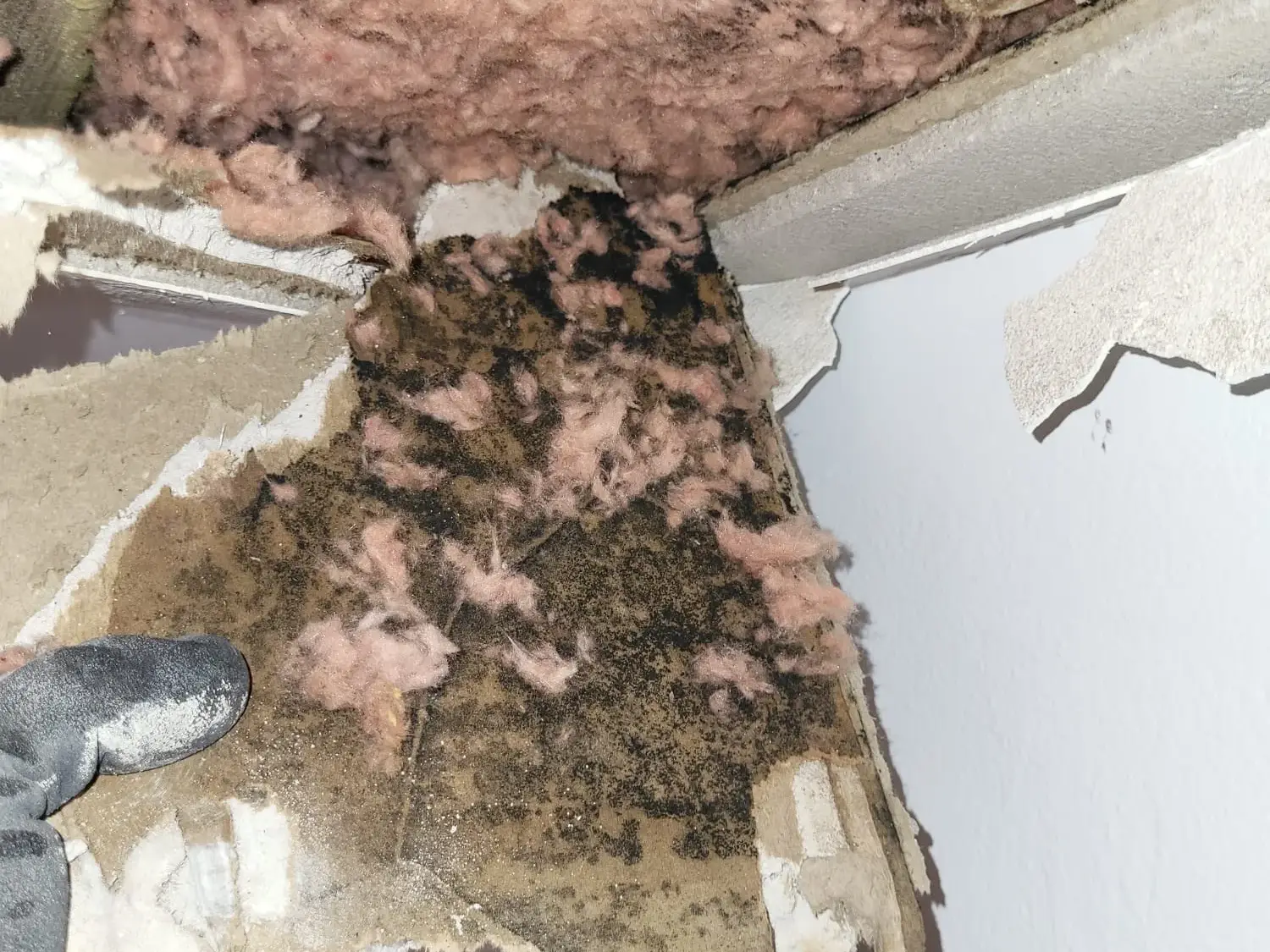 Water-damaged ceiling drywall being removed during restoration