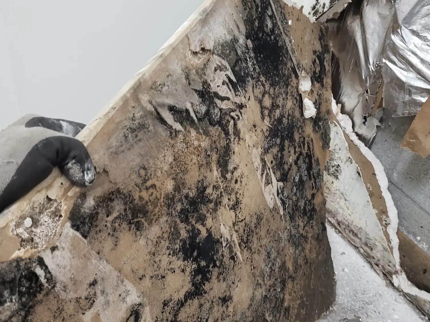 Masterpros crew performing controlled demolition for mold remediation
