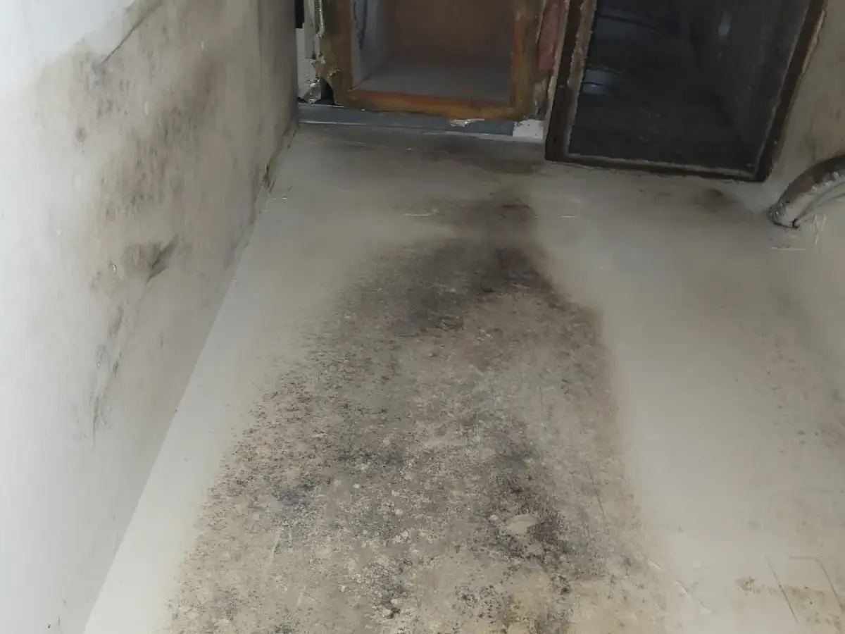 HVAC system inspection during mold remediation assessment